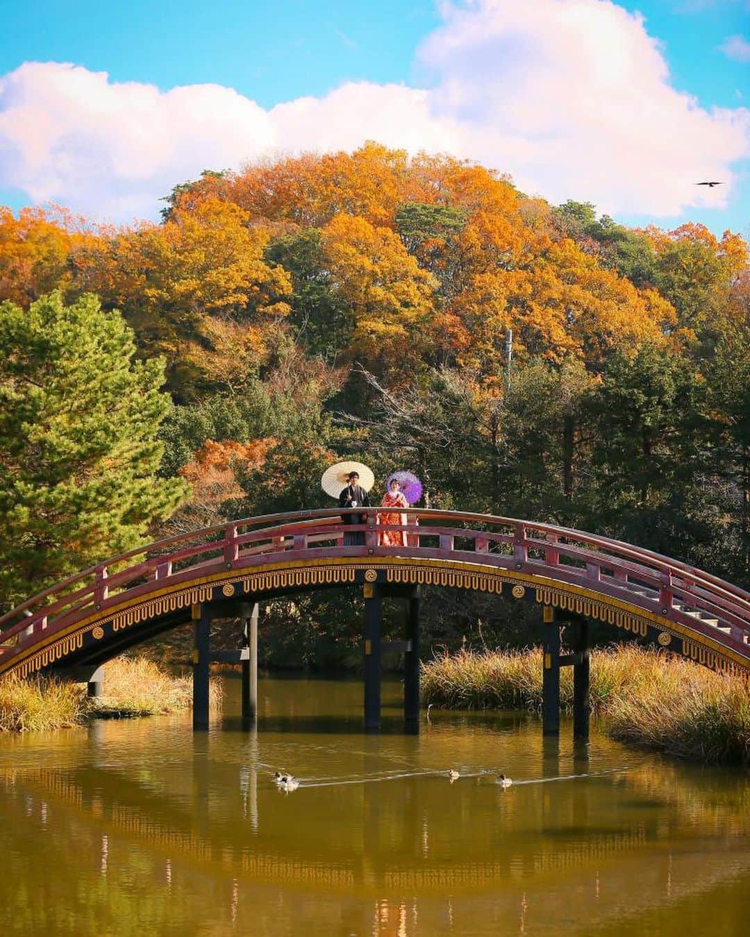 スタジオAQUA 横浜店さんのインスタグラム写真 - (スタジオAQUA 横浜店Instagram)「大人気紅葉ロケ！ご予約はお早めに！！！ . . １年の中で最もロケーションが人気の紅葉シーズン。 色鮮やかで、なんだかしっとりな雰囲気。とってもステキですよね☺︎✨ 紅葉の季節に撮影を考えてる方、はやめはやめのご予約がおすすめです！！ . . . . フォトグラファー▶︎ @h_koike_aquayokohama  #横浜 #前撮り  #ウェディングニュース #locationphoto #ウェディングヘア #花嫁準備 #instgood#結婚準備 #スタジオアクア #結婚式準備#ロケーション撮影#instawedding #結婚写真 #weddison #フォトスタジオ #ブライダルフォト #関東花嫁 #プレ花嫁 #卒花 #写真で伝えたい私の世界  #2019夏婚 #関西花嫁 #ファインダー越しの私の世界  #全国のプレ花嫁さんと繋がりたい#結婚 #花嫁diy #卒花嫁  #ウエディング  #結婚式準備 . スタジオ公式アカウントはこちら▶︎ @decollte_weddingphoto  @studioaqua_yokohama」6月19日 9時44分 - studioaqua_yokohama