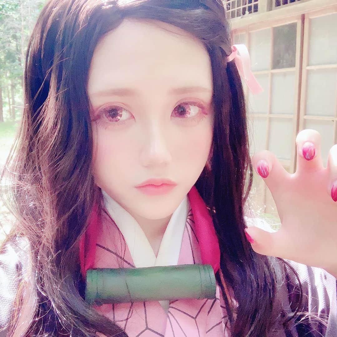 赤羽律のインスタグラム：「撮影まえの自撮りタイム😈 . #竈門禰豆子 #竈門禰豆子コスプレ #禰豆子 #コスプレーヤー #コスプレ #鬼滅の刃 #竈門炭治郎 #kimetsunoyaiba #nezuko #kamadonezukocosplay #kamadonezuko #kamadotanjirou #cosplay #cosplayer」