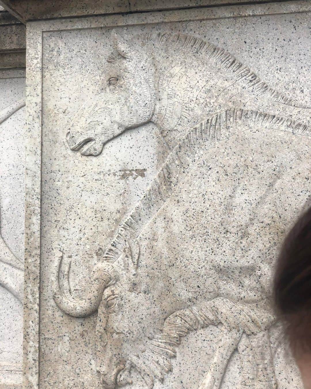 一木美里さんのインスタグラム写真 - (一木美里Instagram)「rainy rainy ny☔️🗽💙 . #アメリカ自然史博物館 に寄りました🇺🇸わたし恐竜ってすごく好きです。地球の不思議がいっぱい。馬のものがたくさんあって 昔から人は馬と一緒に生きてきたんだなぁ、と❤️ . tops #tocco pants #xgirl bag #urbanoutfitters . #MillyNycNyc #Nyc#ootd#コーデ #hourseriding#travel#traveler #AmericanMuseumofNaturalHistory」6月19日 19時51分 - misato_ichiki