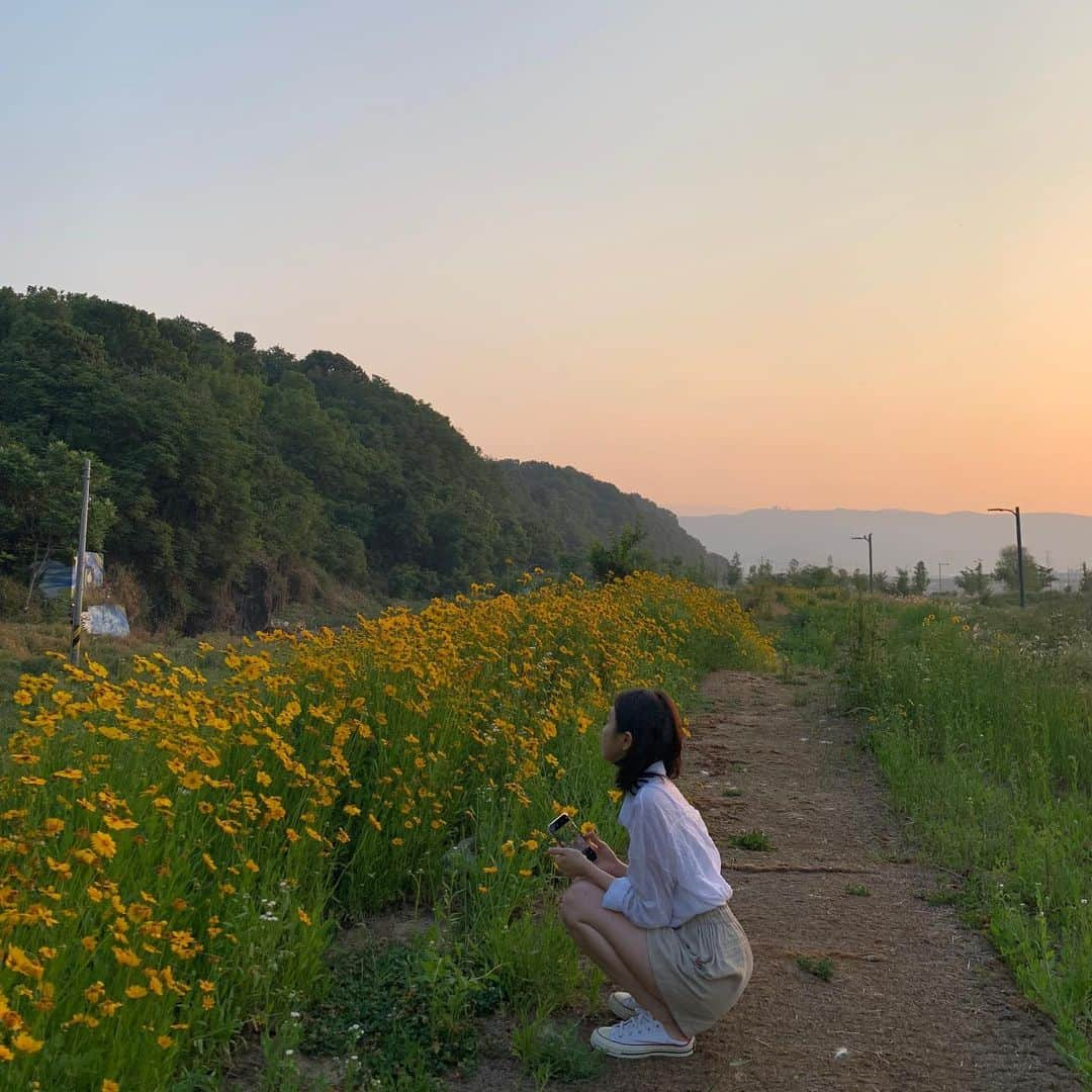 ソン・ファミンさんのインスタグラム写真 - (ソン・ファミンInstagram)「- 대구에 이런곳이 있다니🥺  필터도 안씌웠는데 너무 예쁘죠..💕」6月19日 19時47分 - hwa.min