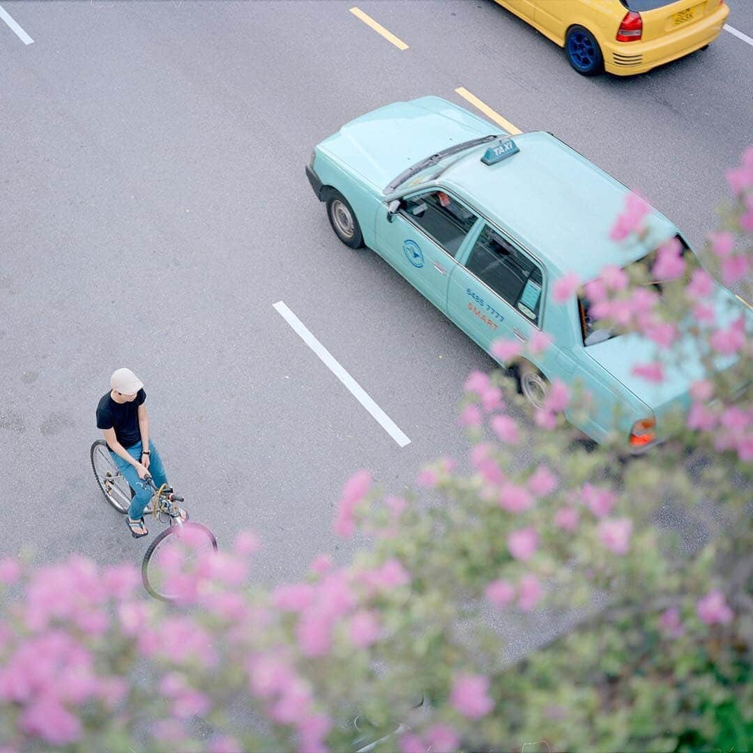 pomeloさんのインスタグラム写真 - (pomeloInstagram)「Pomelo Cover | @_nguan_ is a photographer from Singapore. These photos reveal a strong summer atmosphere, and the tone of the powder is fresh and cheerful. You can feel the joy and beauty of everyday life seen on the streets.  Swipe left to see more!  Double tap if you love these pictures!  #pomelocamera #pomeloapp #photographer #spring2019  #photography #artistic #instagood」6月19日 19時50分 - pomelocam