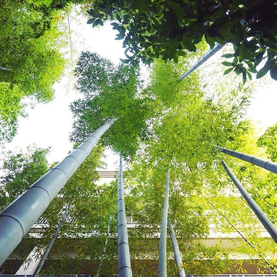 FORTUNE GARDEN KYOTOのグルメインスタ