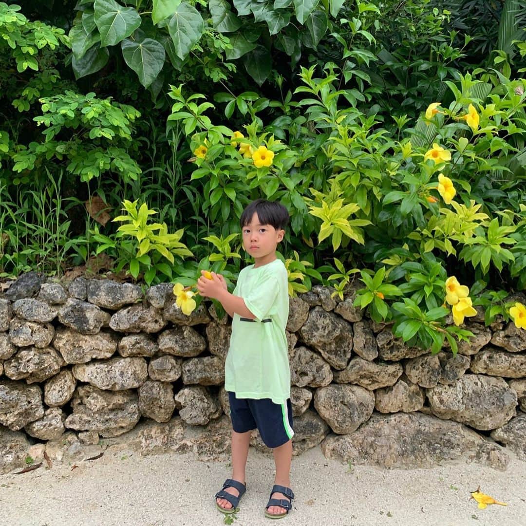 新原愛加のインスタグラム：「💛」