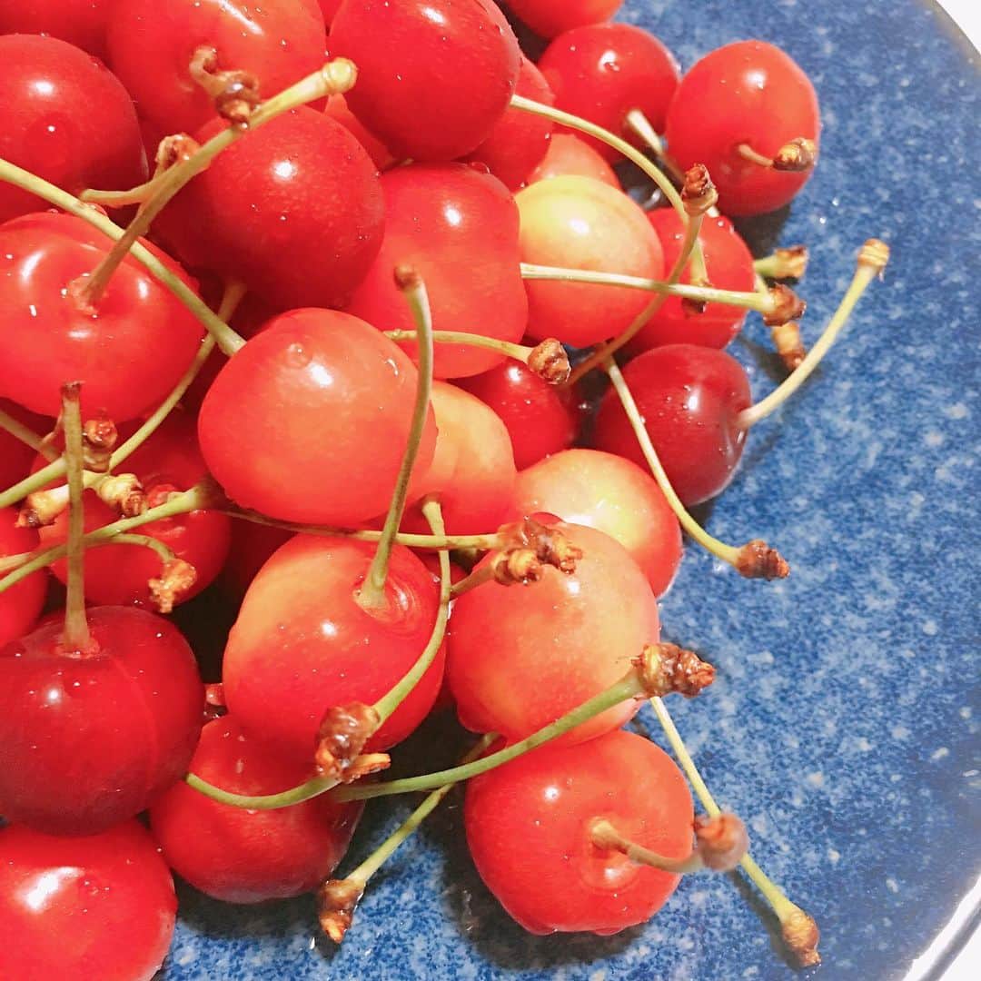鎌田梢のインスタグラム：「送ってもらったさくらんぼを、美味しい美味しいって言いながら、みんなで食べました。極楽の味。 #さくらんぼ #佐藤錦 #🍒」