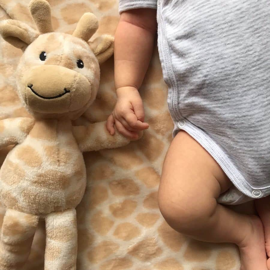 長谷川あやさんのインスタグラム写真 - (長谷川あやInstagram)「🦒🦒🦒 #baby #happy #mama #新生児 #令和ベイビー #生後1ヶ月 #ママリ #赤ちゃんのいる生活 #新米ママ #女の子ママ #小夏のいる生活 ・ ・ ・ 👶『君は誰😀？？？？』 ・ 1️⃣枚目 新入り達に戸惑う小夏さん👶 2️⃣枚目 新入りとか聞いてないよー！の小夏さん👶 3️⃣ 4️⃣枚目 結局お気に入りの小夏さん👶 5️⃣枚目 一緒にすやすやの小夏さん👶 6️⃣枚目 ちゅっちゅが止まらない小夏さん👶 ・ 最近いろんな表情してくれるし 笑いながら寝るしオナラたくさんするし モヒカンみたいな髪型も愛おしい🤤💭」6月19日 12時03分 - ayasuke_0516