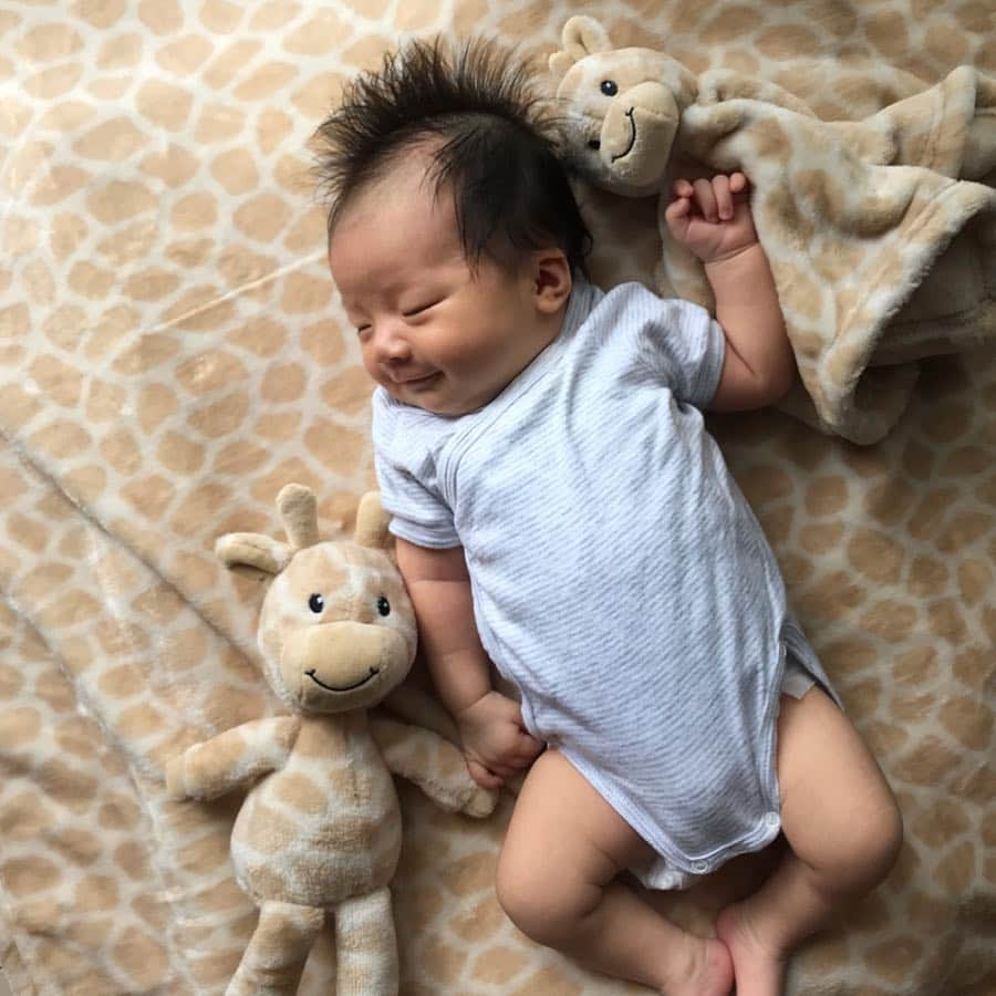 長谷川あやさんのインスタグラム写真 - (長谷川あやInstagram)「🦒🦒🦒 #baby #happy #mama #新生児 #令和ベイビー #生後1ヶ月 #ママリ #赤ちゃんのいる生活 #新米ママ #女の子ママ #小夏のいる生活 ・ ・ ・ 👶『君は誰😀？？？？』 ・ 1️⃣枚目 新入り達に戸惑う小夏さん👶 2️⃣枚目 新入りとか聞いてないよー！の小夏さん👶 3️⃣ 4️⃣枚目 結局お気に入りの小夏さん👶 5️⃣枚目 一緒にすやすやの小夏さん👶 6️⃣枚目 ちゅっちゅが止まらない小夏さん👶 ・ 最近いろんな表情してくれるし 笑いながら寝るしオナラたくさんするし モヒカンみたいな髪型も愛おしい🤤💭」6月19日 12時03分 - ayasuke_0516