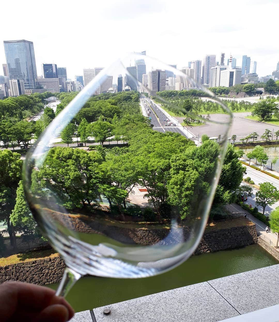 Palace Hotel Tokyo / パレスホテル東京さんのインスタグラム写真 - (Palace Hotel Tokyo / パレスホテル東京Instagram)「Polishing our glasses at Lounge Bar Privé. Do they look clean enough? きれいな景色に惑わされずにグラス磨きに精を出しています。  #glasspolishing #throughthewineglass #wineglass #Tokyoskyline #Tokyosky #summergreen #stunningview #hotelbar #hotellounge #loungebar #natureinthecity #HarmonyWithNature #Marunouchi #LoungeBarPrive #PalaceHotelTokyo #LHWtraveler #LeadingHotelsoftheWorld #uncommontravel #SummerStars #グラス越し #ワイングラス #初夏 #都会の自然 #自然との調和 #ホテルバー #ラウンジバー #ホテルラウンジ #丸の内 #プリヴェ #パレスホテル東京」6月19日 12時16分 - palacehoteltokyo