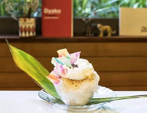 オズモール編集部のグルメインスタ