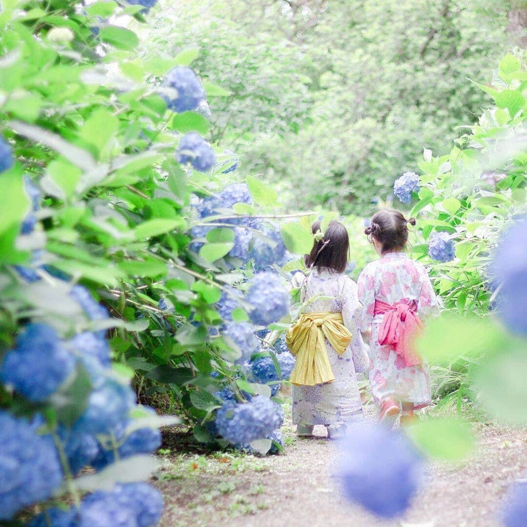 タビスルキッズのインスタグラム：「こんにちは😊 現在、「初夏」を楽しんでいるお写真・動画を募集中です✨ 本日の #タビスルキッズ はこちら💕 📷 @o.aiko.aさん 🚩奈良県・「馬見丘陵公園」 🎙ご本人コメント 浴衣×子ども×紫陽花の破壊力やば〜 . たまたまやけど浴衣がまたおそろ風でかわゆいのう💕 . 平日全然撮れなかった分のもやもやが解消されたー！！笑 . いつもありがとう〜 ﻿﻿﻿﻿﻿＊＊＊＊＊＊ 「浴衣で紫陽花」マネしたいです✨ いつも、かわいいお写真ありがとうございます💕」