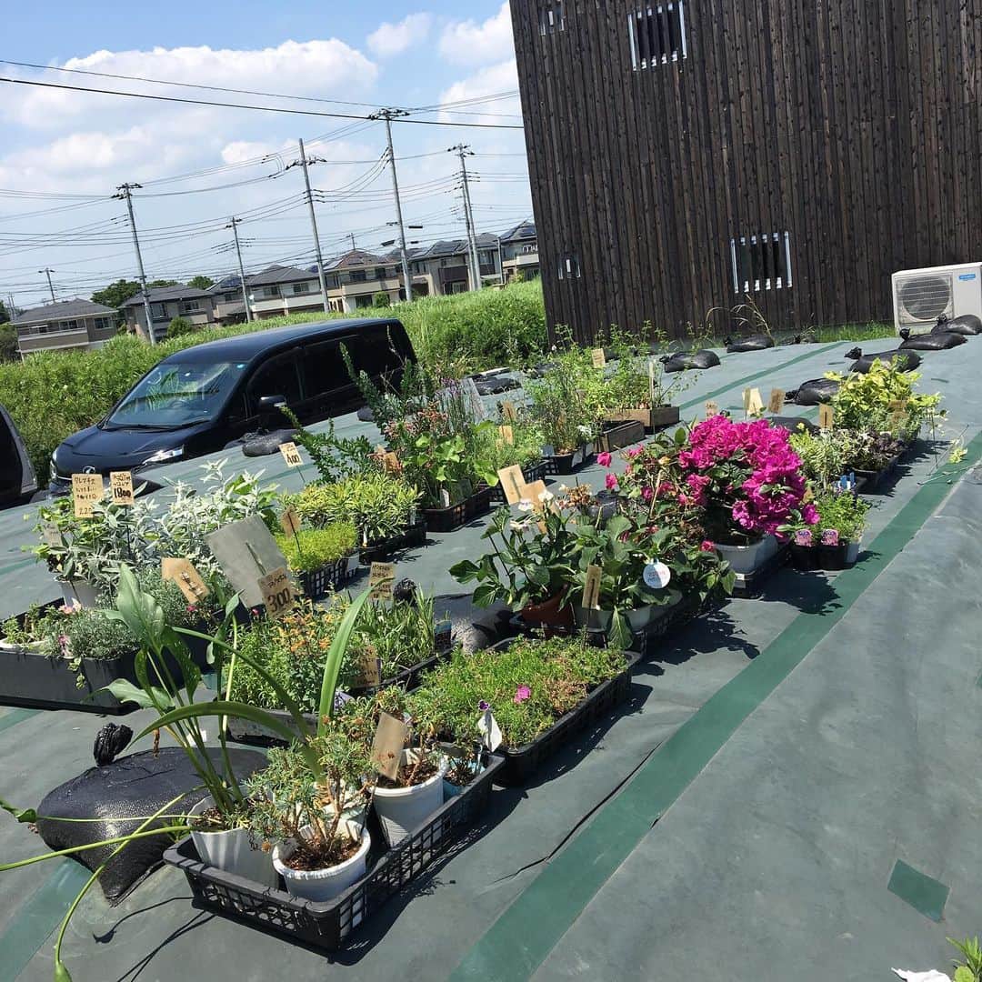 MILLE ECLAT.のグルメインスタ