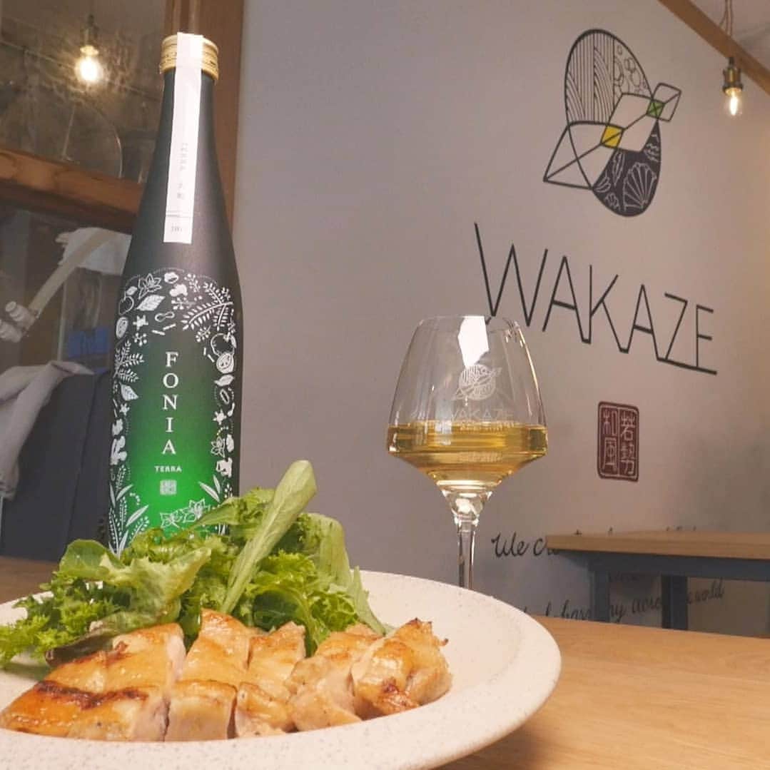 石川奈津紀さんのインスタグラム写真 - (石川奈津紀Instagram)「【新たな"sake"を世界へ🇫🇷】 以前にもご紹介した、 三軒茶屋のWAKAZEさん。 実は日本酒という枠を飛び越えて、 さらに日本という国境をも越えて、 クラウドファンディングで 資金を集め、 パリでお酒を造るという 新たな挑戦をしています！💡🎊 杜氏の今井さんの熱い想いをぜひご覧ください。 * わたしのヒトリゴト 6/22(土)23(日) 10:50/15:50/18:50/23:50 オンエア予定です📺❇️ * #tbsnews #わたしのヒトリゴト #日本酒🍶 #日本酒好き #日本酒好きな人と繋がりたい #日本酒女子 #日本酒ナビゲーター #ポン酒タグラム #japanesesake #sakemake」6月19日 15時04分 - natsukiishikawa1011