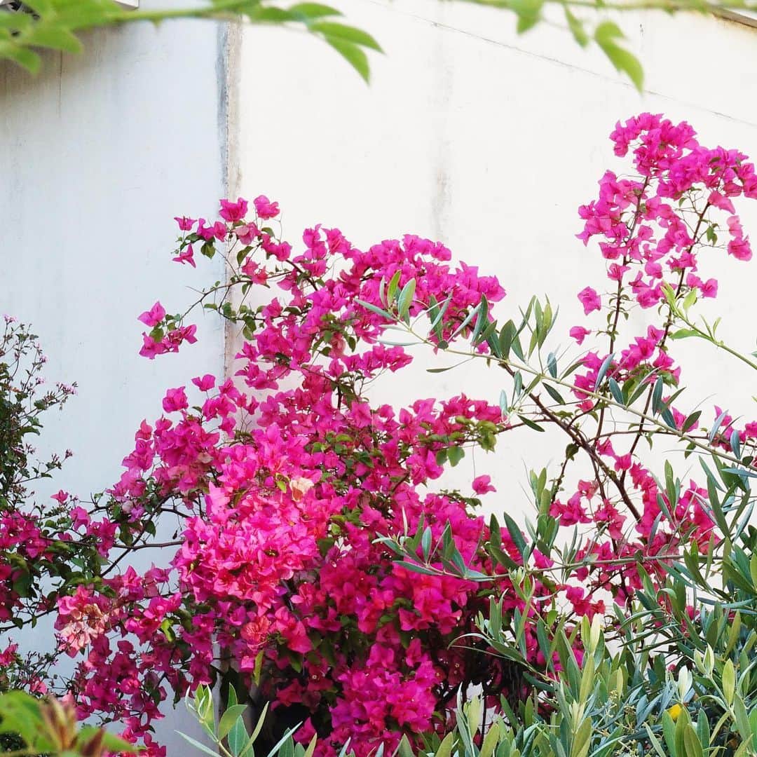 増山敬子のグルメインスタ