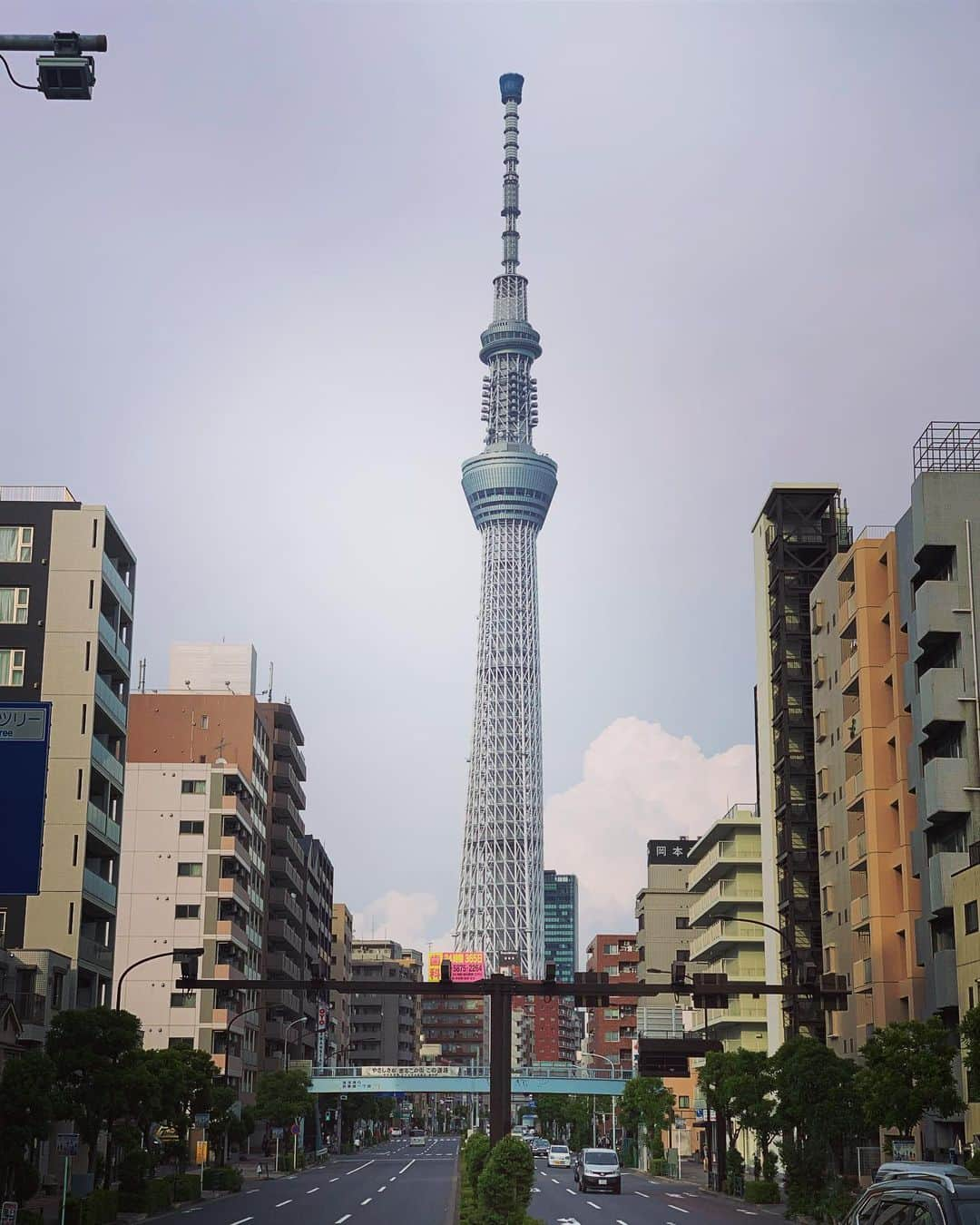 朝岡実嶺さんのインスタグラム写真 - (朝岡実嶺Instagram)「久しぶりの浅草。 ふらっと入った「カツ吉」さんのシソとんかつ。 お肉の間にお味噌とシソが挟んであって、とっても美味しかった😋 まだ登った事のないスカイツリーもキレイに見えました😁 #浅草 #スカイツリー #カツ吉 #味噌とんかつ I went to Asakusa for the first time after a long time. The restaurant I just found was really good and I enjoyed “Shiso Tonkatsu” a deep fried pork cutlet which put miso and Shiso between slices of juicy pork😋 I also enjoyed the nice viewing of Tokyo Skytree where I’ve never climbed😁  #asakusa #tokyoskytree #tonkatsu」6月19日 15時58分 - mirei_asaoka