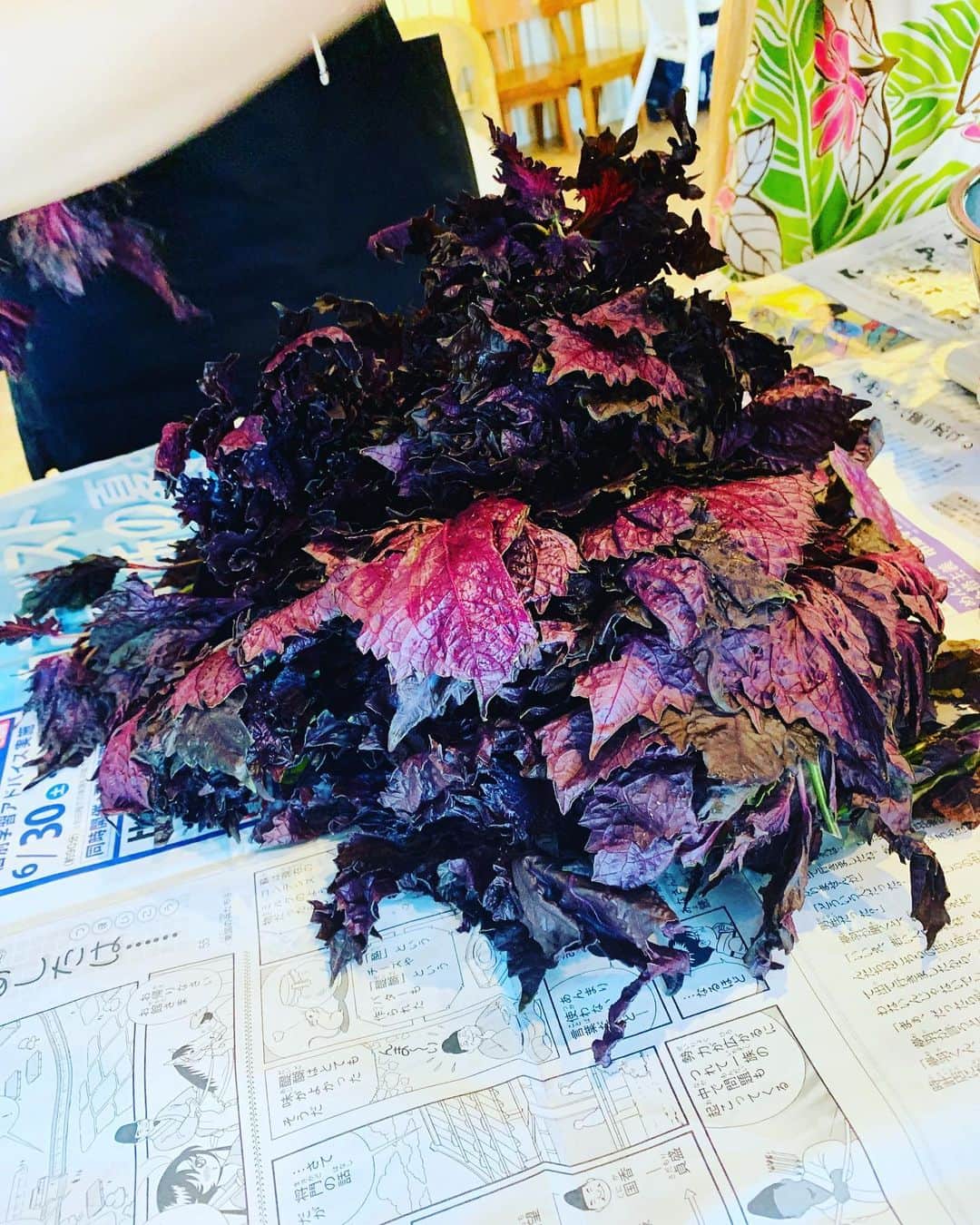 川上璃子（梅崎司の妻）さんのインスタグラム写真 - (川上璃子（梅崎司の妻）Instagram)「☆梅干し ☆鯵の混ぜご飯梅風味 ☆紅生姜のかき揚げ ☆鶏の梅煮  #梅#料理教室#美味#梅好き#梅崎です」6月19日 16時06分 - 775.ren.riko