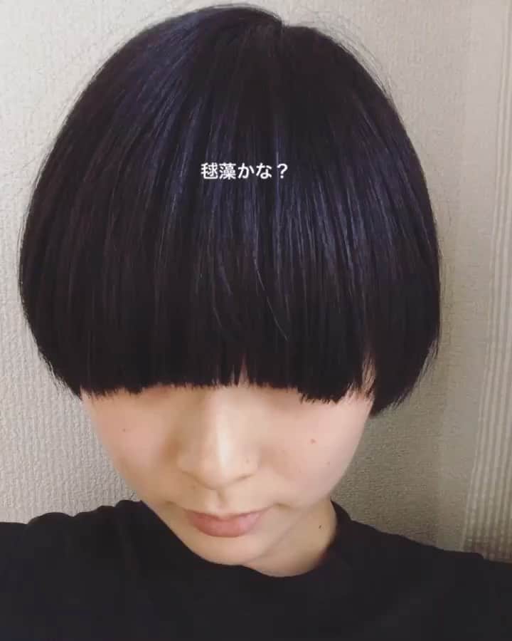 真央のインスタグラム：「大分伸びちゃった。 まりもだね。」