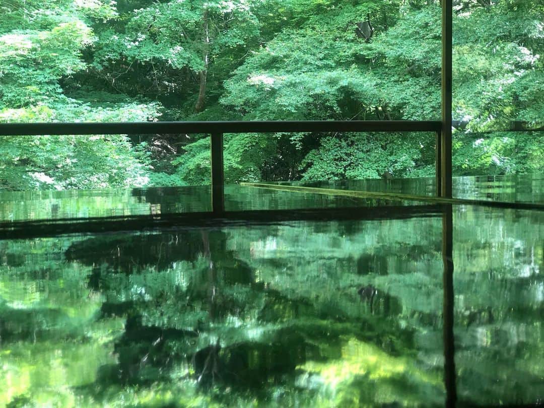 小澤名代さんのインスタグラム写真 - (小澤名代Instagram)「お仕事後に、せっかくだったので京都に立ち寄って。 瑠璃色に輝く庭園は、写真以上に美しくてとっても涼しげな気持ちにさせてくれました🌿  高野川の清流を沿ってお散歩しながら見える景色は 見渡す限り大自然で、いつもの慌ただしい時間を忘れさせてくれる、最高のロケーション✨  #瑠璃光院 #京都 #高野川 #観光 #大自然最高 #春の参拝 #マイナスイオンたっぷり #紅葉も行きたい」6月19日 16時34分 - ozawanayo