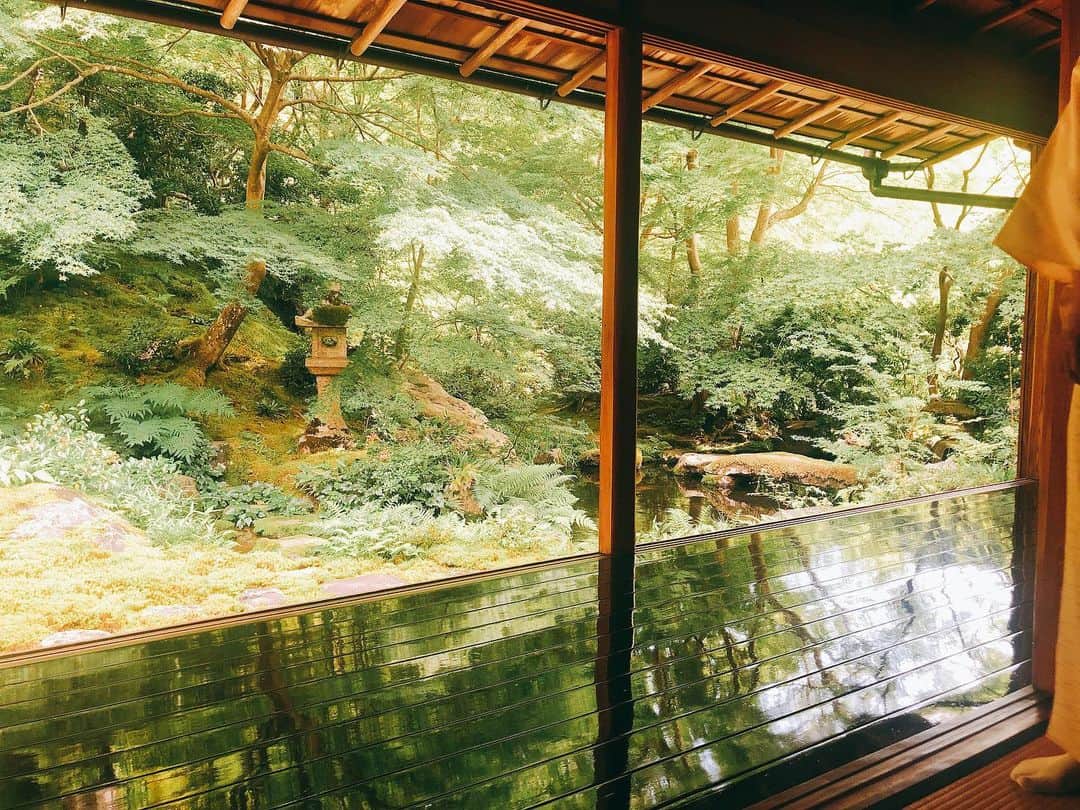 小澤名代さんのインスタグラム写真 - (小澤名代Instagram)「お仕事後に、せっかくだったので京都に立ち寄って。 瑠璃色に輝く庭園は、写真以上に美しくてとっても涼しげな気持ちにさせてくれました🌿  高野川の清流を沿ってお散歩しながら見える景色は 見渡す限り大自然で、いつもの慌ただしい時間を忘れさせてくれる、最高のロケーション✨  #瑠璃光院 #京都 #高野川 #観光 #大自然最高 #春の参拝 #マイナスイオンたっぷり #紅葉も行きたい」6月19日 16時34分 - ozawanayo