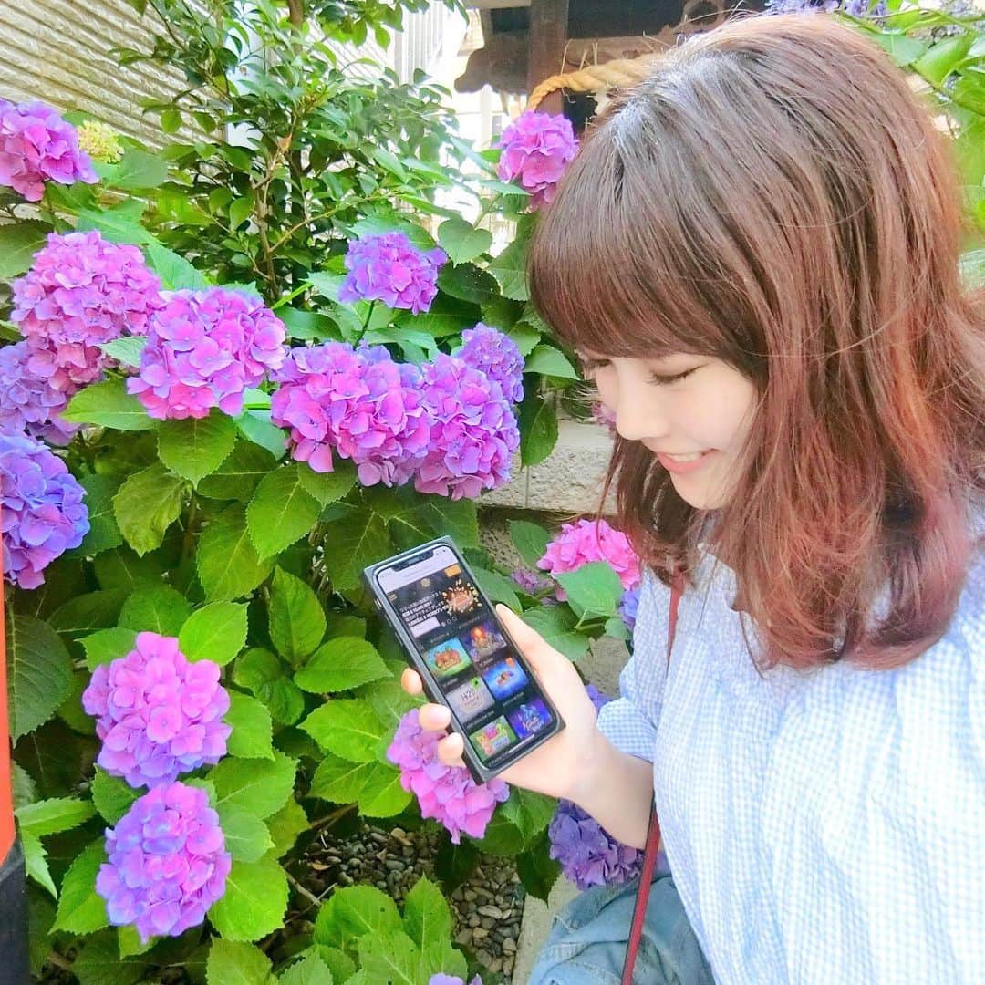 浅井麻里さんのインスタグラム写真 - (浅井麻里Instagram)「🏵📱﻿ ﻿ 6月生まれだから紫陽花好き💓﻿ 上海ディズニーでもとっても綺麗な紫陽花と﻿ 撮ったからそれもまたアップするね✨﻿ 今月はまた別のお花の﻿ 花畑に行く予定もあるから楽しみー💕💐﻿ ﻿ ﻿ 友達との待ち合わせ中、待ってる時間に﻿ 最近ハマってるゲーム！﻿ @casinocasino_official﻿ ﻿ 現実のカジノはやったことないけど、﻿ (シンガポールでカジノには行ったものの﻿ びびって賭けなかった人😂笑)﻿ オンラインでカジノゲームできるってすごい！✨﻿ ﻿ ゲーム好きな人はやってみてね🎵😘﻿ ﻿ ﻿ #カジノカジノ#オンラインカジノ#バカラ#スロット#ブラックジャック#マカオ#ラスベガス#シンガポール#オンラインゲーム#スマホゲーム#ゲーム#紫陽花#CASINOCASINO#pr#game」6月19日 16時34分 - mari_asai_625