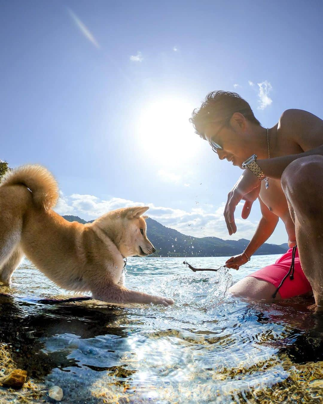 GoProさんのインスタグラム写真 - (GoProInstagram)「生まれて初めての湖。仲良し同士で水遊び 🐕👱‍♂️ 📷 @mamibeans + @kappamaster : 「愛犬つくねと、日本一の深さを誇る #田沢湖 で水遊び！水に慣れるように、少しずつ！水が冷たくて気持ちいい！タイムラプスフォトで撮れた中からの1枚。」 ・ ・ ・ #GoPro #GoProJP #GoProDog #GoPro犬 #ShibaDog #Shiba #犬 #柴犬」6月19日 16時44分 - goprojp