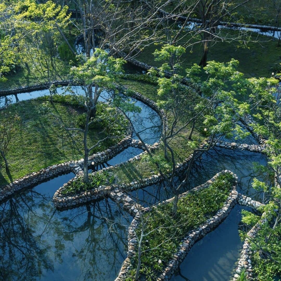 HOSHINOYA｜星のやさんのインスタグラム写真 - (HOSHINOYA｜星のやInstagram)「Modern green and water garden. #hoshinoyaguguan #taiwan #taichung #guguan #hoshinoya #hoshinoresorts #星のやグーグァン #台湾 #台中 #グーグァン #谷關 #星のや #星野リゾート」6月19日 16時56分 - hoshinoya.official