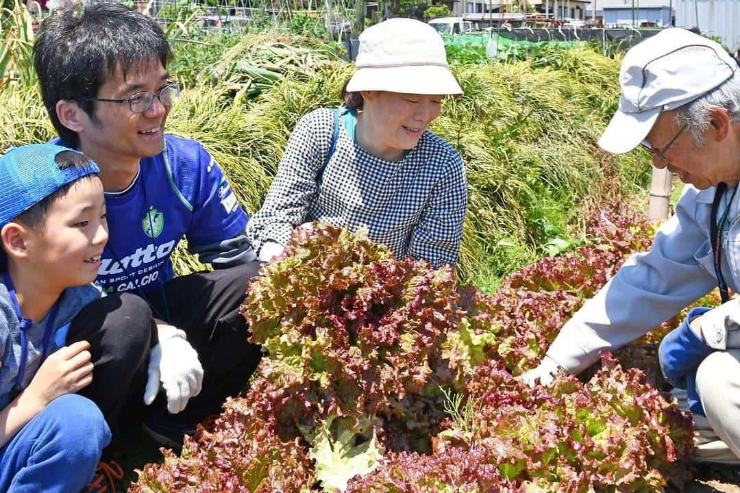 平塚市のインスタグラム