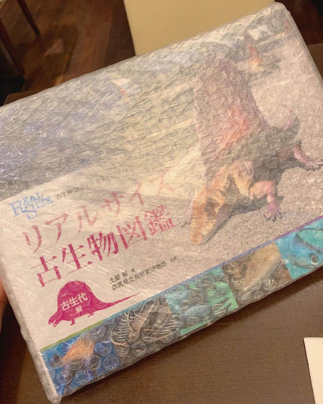宮内桃子さんのインスタグラム写真 - (宮内桃子Instagram)「先日リアルサイズ古生物図鑑古生代編🔍 催事イベントへ行ってきました。  snsで発信したところ✍🏻 それを原案の技術評論社さんが 見てくださいました。  ただ、自分の趣味で💐 いいなぁと思ったことだったけど とても温かいメッセージと 図鑑をプレゼントして頂きました。  お気持ちがとても嬉しいです😌🌸 今受け取ってきたので お家に帰ってからページをめくるのが 楽しみです！  一緒に読みたいね📚 きっと子供に戻ったみたいに わくわくするでしょう！  #リアル古生物図鑑 #リアルサイズ古生物図鑑 #古生物 #今日の服装 #今日のコーデ #eimyistoire #ワンピースコーデ #技術評論社」6月19日 17時08分 - bakemonomomo
