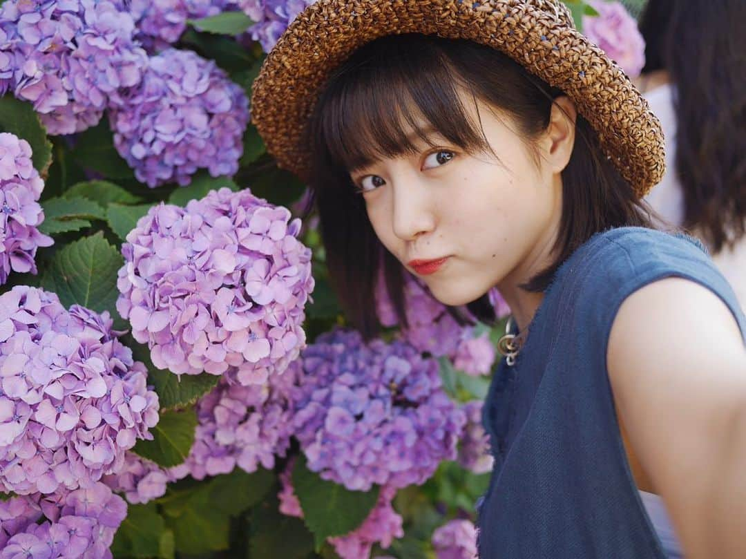 中山莉子さんのインスタグラム写真 - (中山莉子Instagram)「→ ㅤㅤㅤ 紫陽花 ㅤㅤㅤ #三品瑠香が撮る中山莉子 ㅤㅤㅤ #中山莉子が撮る三品瑠香 もあるからみてね💁‍♀️💁‍♀️ #江ノ島#鎌倉ㅤㅤㅤ」6月19日 17時18分 - nakayama_riko_official