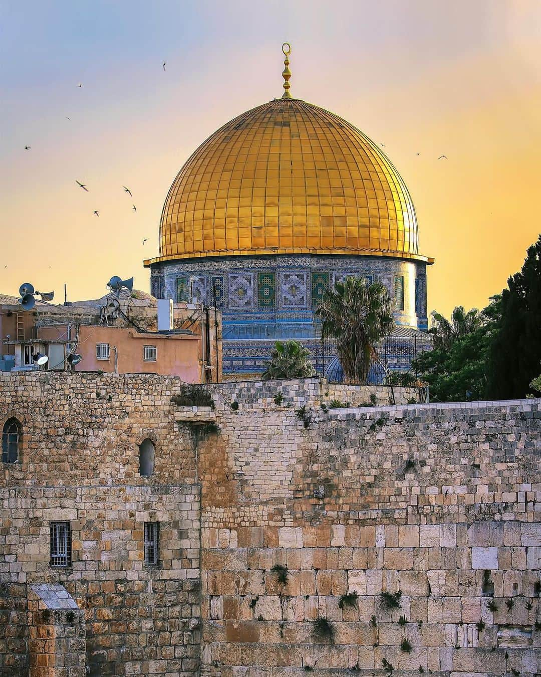 マヘル・ザインさんのインスタグラム写真 - (マヘル・ザインInstagram)「I’ll try to share with you some pictures from Jerusalem Al-Quds every month. Here’s today’s picture 😊 Al-Quds, always in our hearts❤️ 📷: @islam.fawaqa  #MasjidAlAqsa #Alquds #Jerusalem」6月19日 17時21分 - maherzainofficial