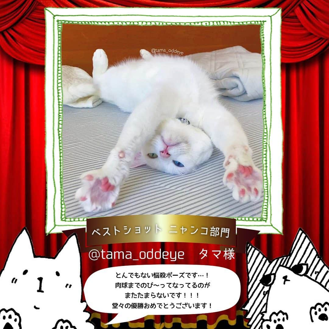 iDog&iCatのインスタグラム