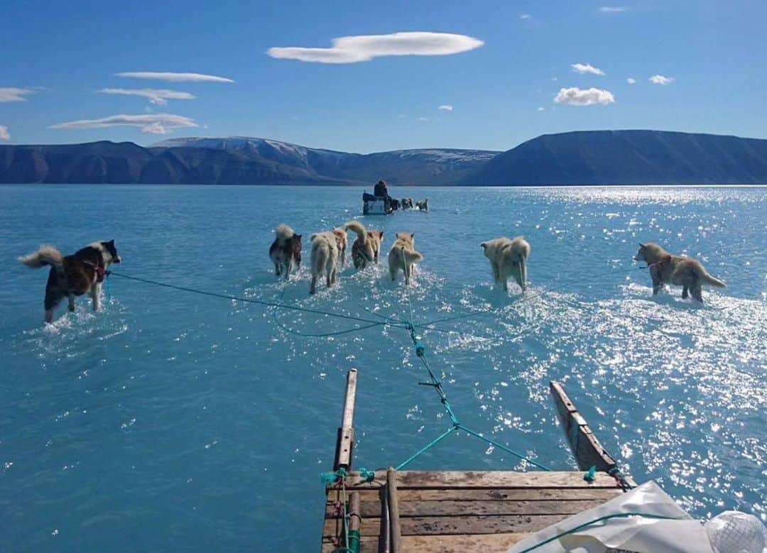 ジョン・コルタジャレナさんのインスタグラム写真 - (ジョン・コルタジャレナInstagram)「Esta foto está hecha en #Groenlandia el 13 de junio. El hielo en esta zona se está derritiendo a un ritmo nunca visto. Hay agua donde debía haber hielo. La temperatura era de 17 grados cuando lo normal es que fuera de 3.  El aumento de la temperatura global está desatando una reacción en cadena. Desestabilizará el clima de todo el planeta, provocando sequías extremas. Además el suelo ártico contiene una cantidad descomunal de CO2, que si se descongela y se libera a la atmósfera, acelerará de forma irreversible la crisis climática. La conservación del medio ambiente y la lucha contra el cambio climático tiene que ser prioritaria para todos. Es una cuestión de educación y voluntad política. No podemos cambiar el mundo, pero si nuestro metro cuadrado. ¿Reaccionamos de una vez? Comparte este mensaje por favor」6月19日 18時15分 - jonkortajarena