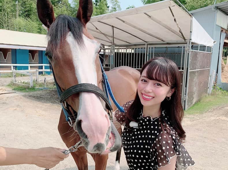 のインスタグラム：「なんと！推し馬の一頭🐴で、先週未勝利勝ちしたばかりの 340㌔のプリンセス #メロディーレーン ちゃんに会うことが出来ました🥺💖 近くで見ると、レースで見るよりますます小さい🐜✨ . これで9馬身差で勝つねんからほんまに凄すぎる👏🏽 . 前走3着の時「感動して泣いちゃった〜」と言っていた森田調教師。今回は号泣かな！？と思って聞くと、やはり、函館の空港で一人大号泣していたそうです😂 何度も見返して3日間は泣けたんだとか（笑） . 森田調教師の溺愛っぷりも含め、可愛すぎるメロディーレーンちゃん🎶小さいのに堂々としていて、人懐っこいとっても素敵な子でした❤️ . 3枚目は、こう見るとよくわかる！な、一枚。 一瞬、遠近法！？って思いますよね🤭 隣の子は500㌔くらいだそう。 . 明日のトレまる🏇お楽しみにです💓💓」