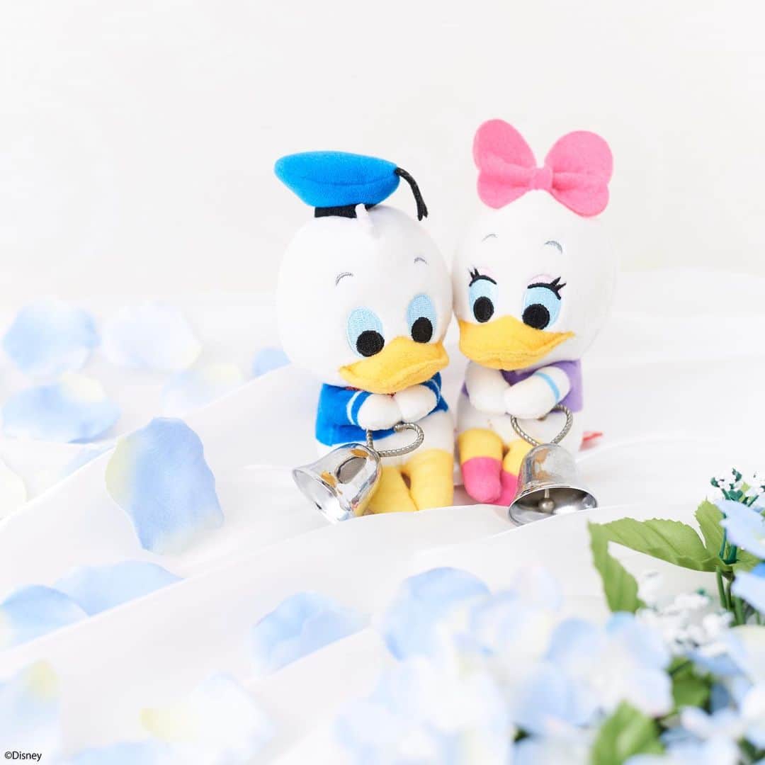 ちょっこりさん【公式】のインスタグラム：「#20190619 * 6月といえば、ジューンブライド。 ドナルドとデイジーもお祝いのお手伝い！ * 上手にできるかな～ * #ちょっこりさん #ウエディング#リングピロー #ディズニーグッズ #ぬい撮り#ぬいぐるみ #chokkorisan#disney #takaratomyarts #ぬいぐるみと撮り隊 #disney写真部 #ちょっこりさん好きな人とつながりたい」