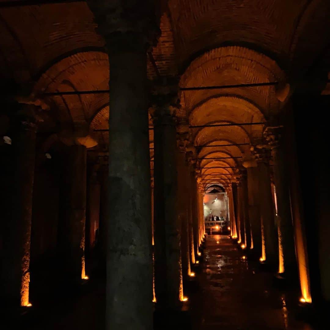 ボニー・モーガンさんのインスタグラム写真 - (ボニー・モーガンInstagram)「Istanbul’s Basilica Cistern (6th century) and Medusa Head Column #istanbul #notconstantinople #adventuresofbendybonnie #shenanigans #basilicacistern #medusa #headtohead #twoheadsarebetterthanone #thatsalotofbricks #tripofalifetime #bendybonnie」6月19日 19時02分 - bendybonnie