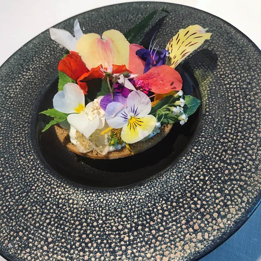 尾崎ありさのグルメインスタ