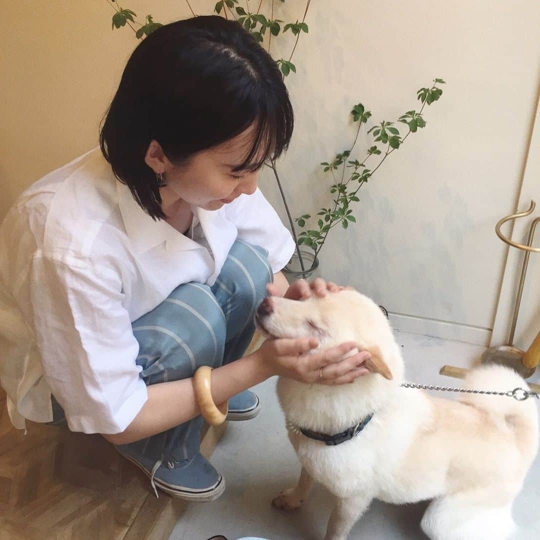 畑田萌のインスタグラム：「everyday 17:30 サスケタイム カットしてても、カラーしてても、手を止めて触りに行かないと帰らなくなってきたかわいいやつ🐕」