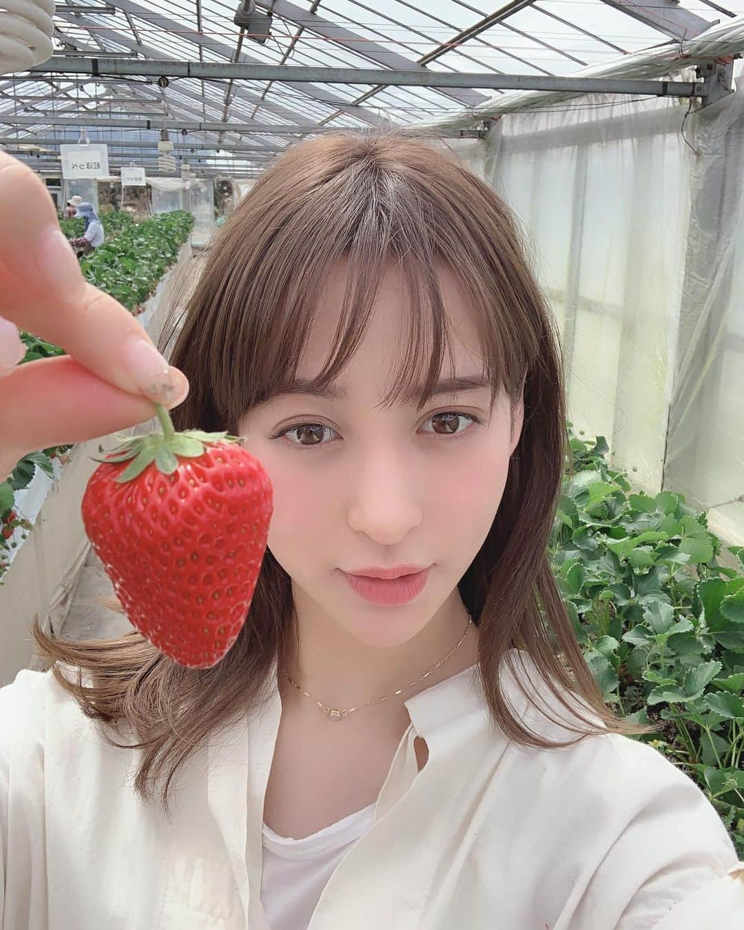 野崎萌香さんのインスタグラム写真 - (野崎萌香Instagram)「ゆんぴょといつかのイチゴ狩り🍓」6月19日 21時52分 - moeka_nozaki