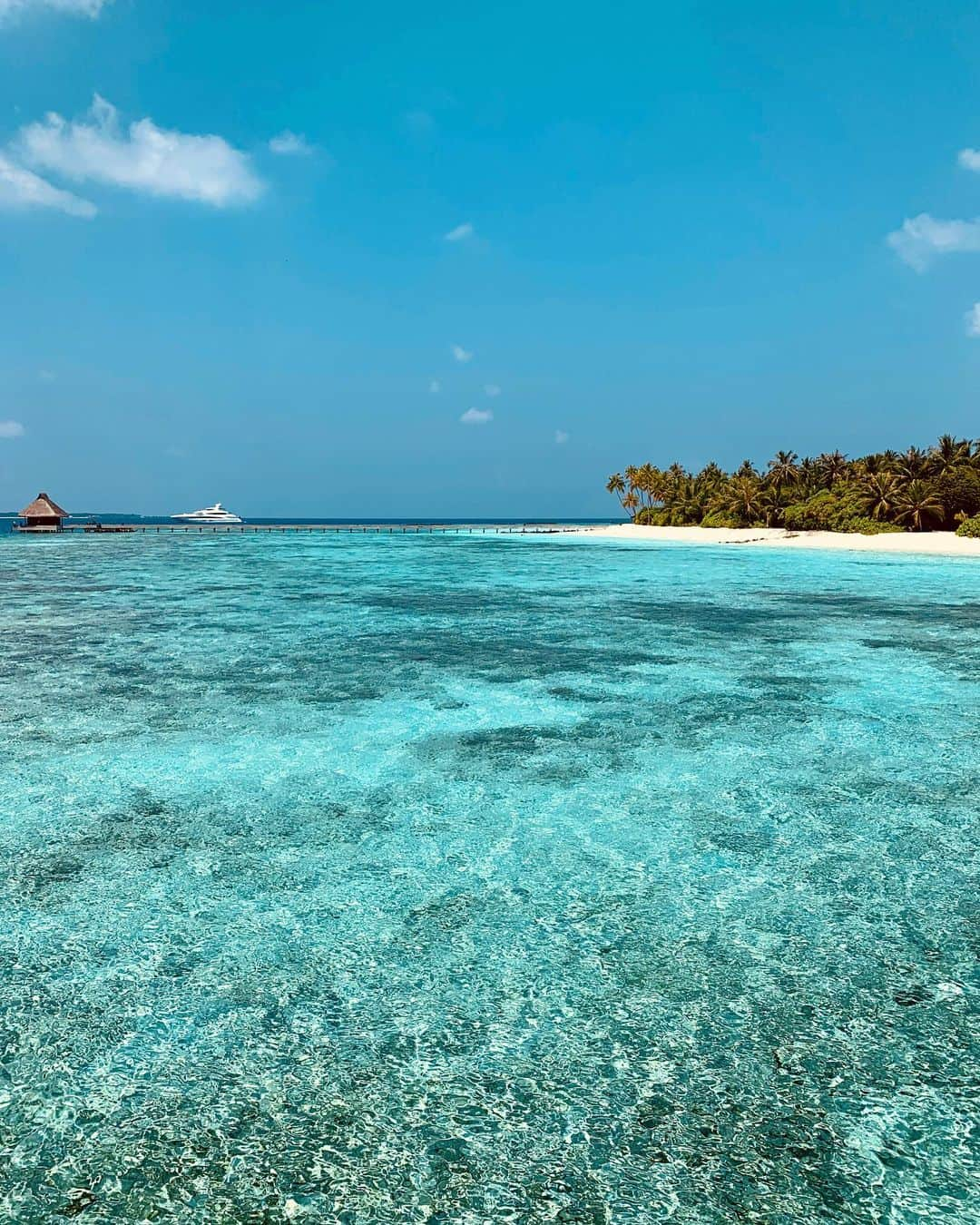 Velaa Private Islandさんのインスタグラム写真 - (Velaa Private IslandInstagram)「A thousand shades of blue that glitter and change as the sun travels across the sky. #VelaaPrivateIsland #VelaaMoments」6月19日 22時00分 - velaaprivateisland