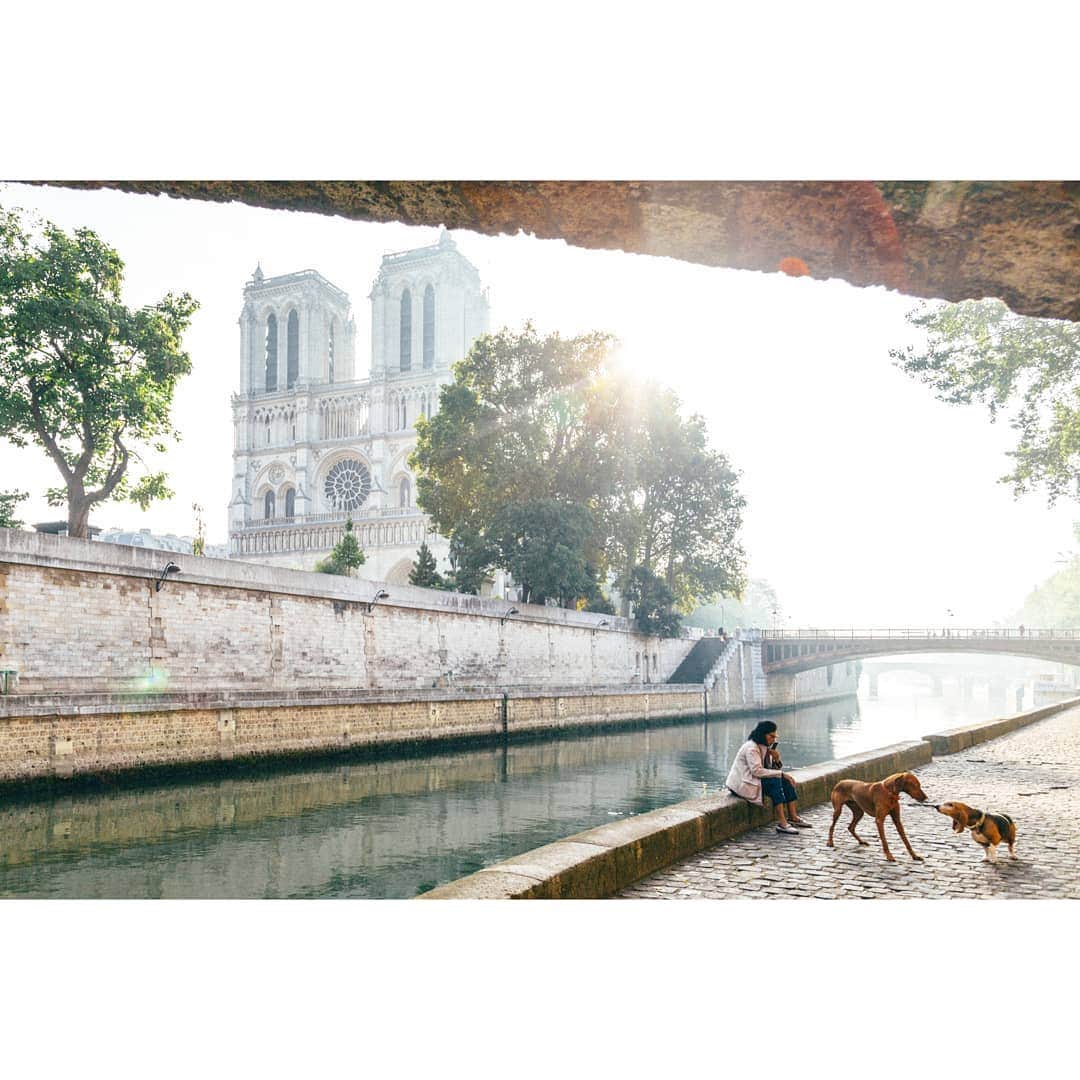 VuTheara Khamさんのインスタグラム写真 - (VuTheara KhamInstagram)「Along the Banks of the Seine, Notre-Dame, Paris, 2014」6月19日 22時04分 - vutheara