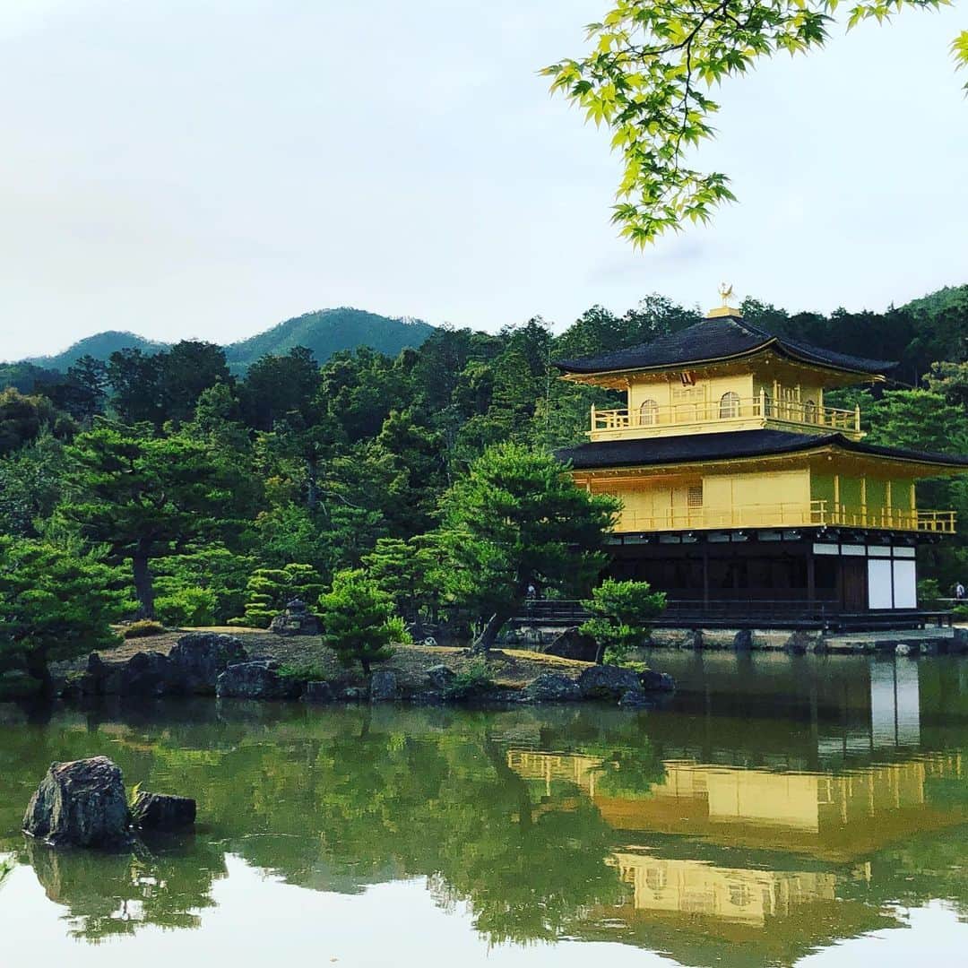 佐山愛のインスタグラム：「❤︎ ・ 京都めっちゃ楽しかったーー♪♪ ・ なんていうか、 おひとりさまだけど おひとりさまじゃない旅だった笑 ・ タクシーの運転手さんとおしゃべりしたり、 道を尋ねてきた外国人カップルを連れて 一緒に金閣寺に行ったり、 そのカップルの写真撮ってあげてたら me tooとばかりに周りの人たちが 私に列作って撮影依頼してくるから もうみんな顔見知りって感じで 全然ぼっちじゃなかったの笑 ・ あ、そうそう！ このお金投げるやつめっちゃ綺麗に入って 周りにいた人たちと盛り上がったけど 完全ゲーム感覚だった私は うっかり願い事するの忘れたっぴ。 ・ せっかくなら何かお願いしときゃ良かった🤔 ・ ・ 夜はバーのマスターから聞いた 池田屋事件の時についた刀傷を見に行って 鴨川でイチャつくカップルたちを横目に 誰がつけた傷なのかなぁ？なんて 妄想に耽りました笑 ・ ・ で、また飲みに行った先で 面白い話たくさん聞けて気づいたら朝🌄 ・ ホテル帰る頃にはぐったりだったけど ほんと充実してたから幸せ♡ ・ ・ 京都で触れ合ってくれたみなさま ありがとうございました😊🙏❤️」