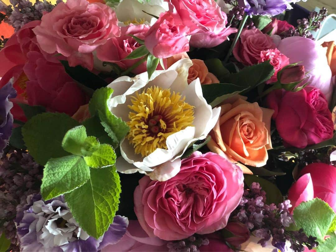 ザックポーゼンさんのインスタグラム写真 - (ザックポーゼンInstagram)「Morning #flowers gorgeous @zezeflowers」6月19日 22時19分 - zacposen