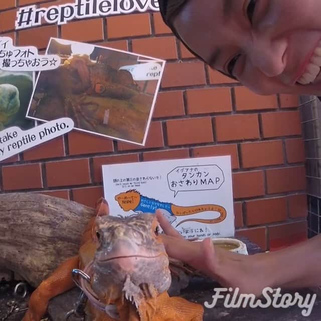 依吹怜のグルメインスタ