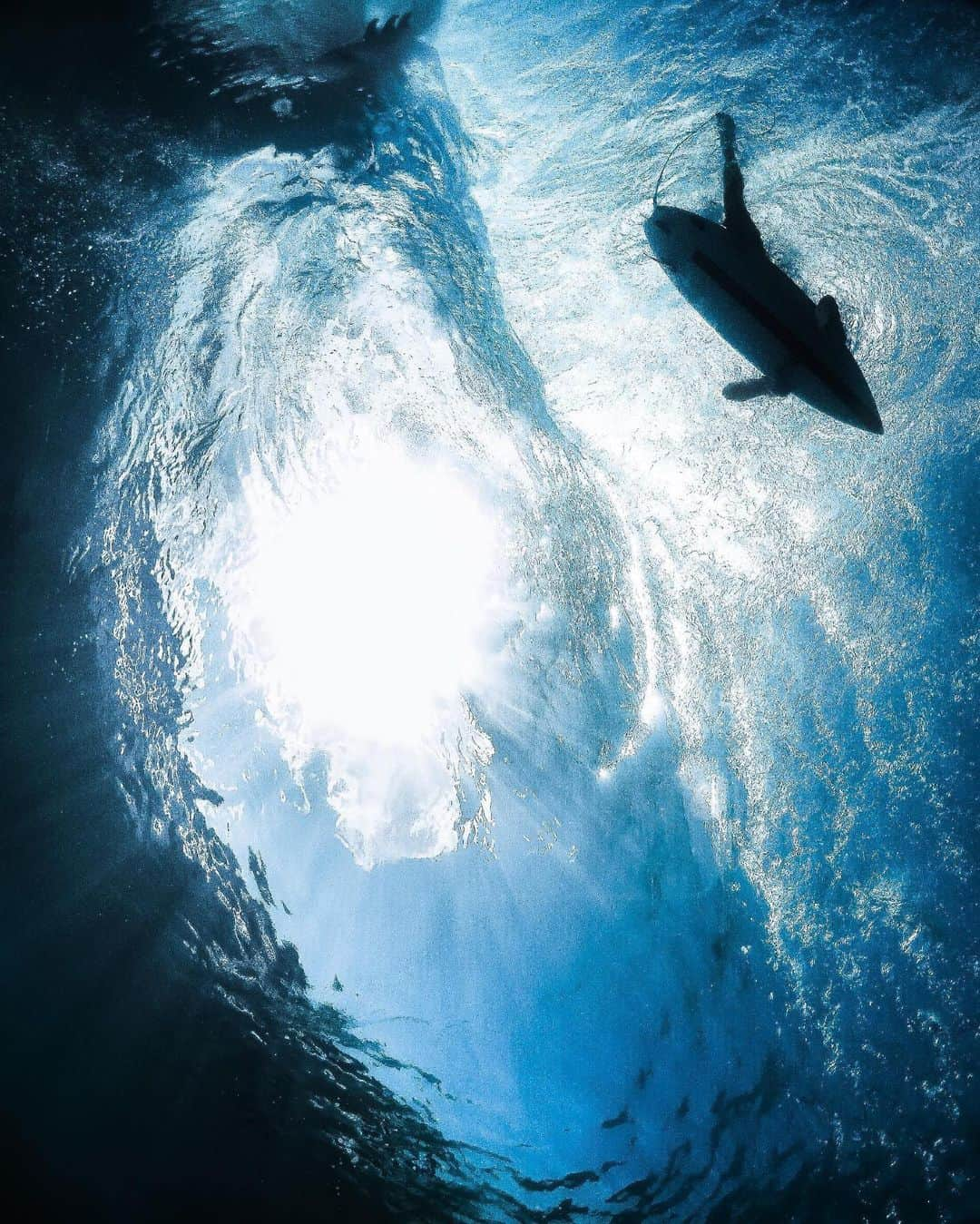 goproさんのインスタグラム写真 - (goproInstagram)「Photo of the Day: Giving "fish-eye" new meaning. 📷: #GoProFamily member @bibby_pics • • • #GoProSurf #GoPro #TripOn #Surfing #UnderwaterPhotography #Pipeline」6月19日 22時43分 - gopro