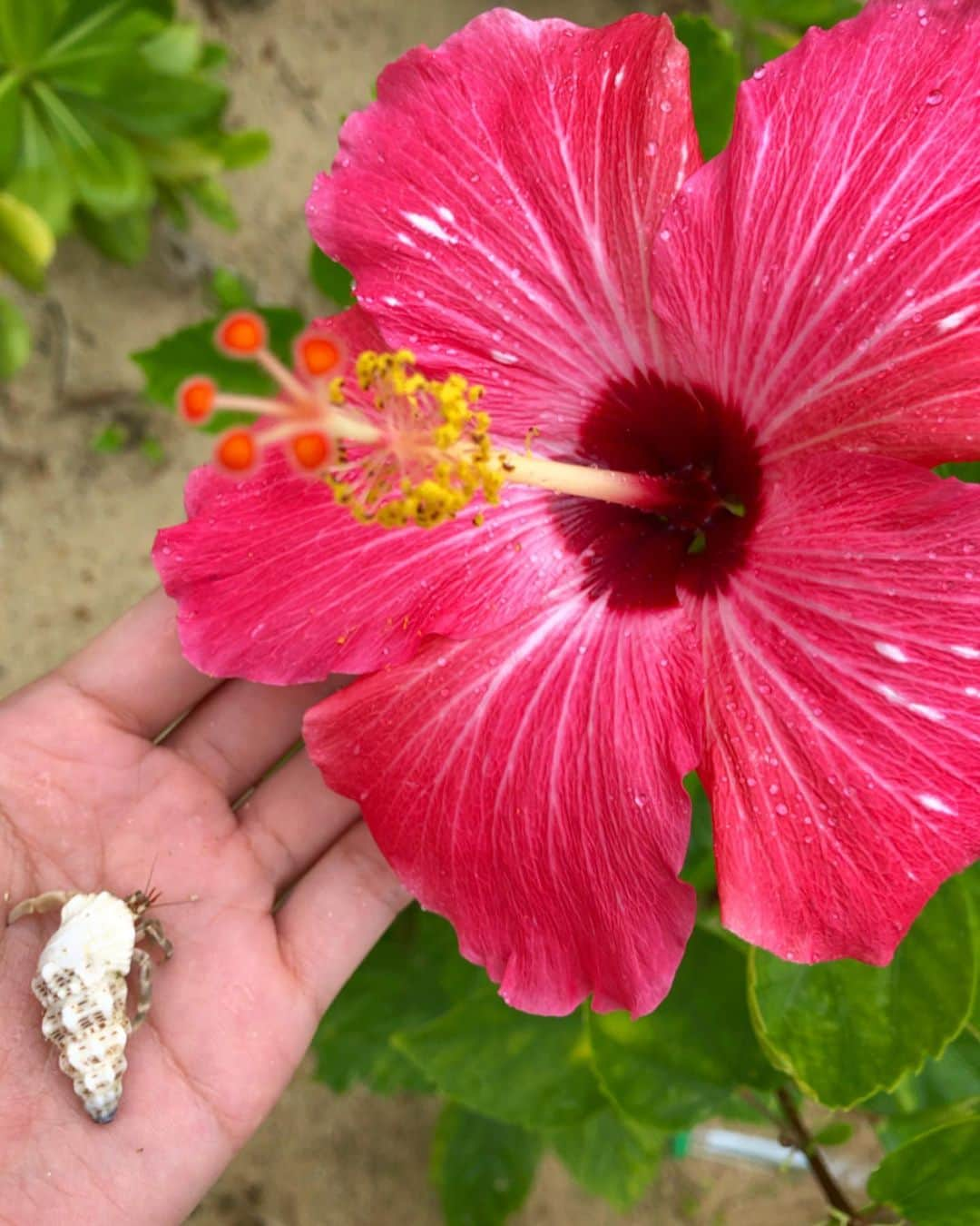 青山めぐさんのインスタグラム写真 - (青山めぐInstagram)「総勢約20人での沖縄旅行 その１🌺☔️🍺👙 #沖縄 #恩納村 #旅行 #沖縄旅行 #雨 #激寒 #意地でもハイレグ #オリオンビール」6月19日 22時51分 - megu_19880928