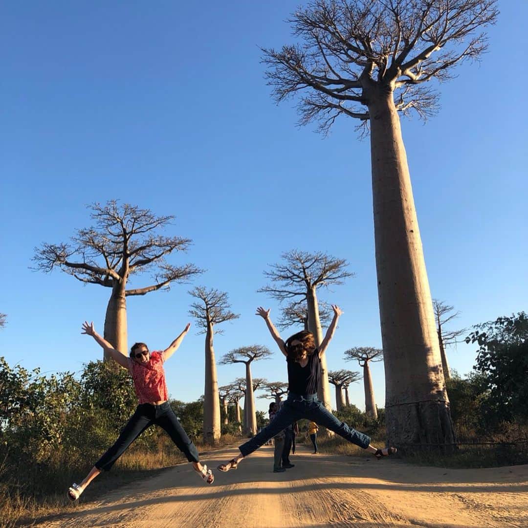 マリーナ・スコーシアーティさんのインスタグラム写真 - (マリーナ・スコーシアーティInstagram)「As an actor I don’t become the tree, I am the tree. #avenueofthebaobabs #baobabs #madagascar #jetlaglife #travels #travelerphoto #jumps #anactorprepares 🌳」6月19日 23時14分 - marinasqu