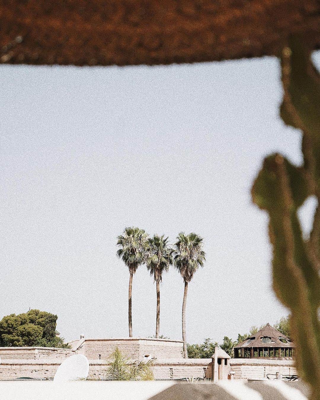 Manamiのインスタグラム：「back to Marrakech」