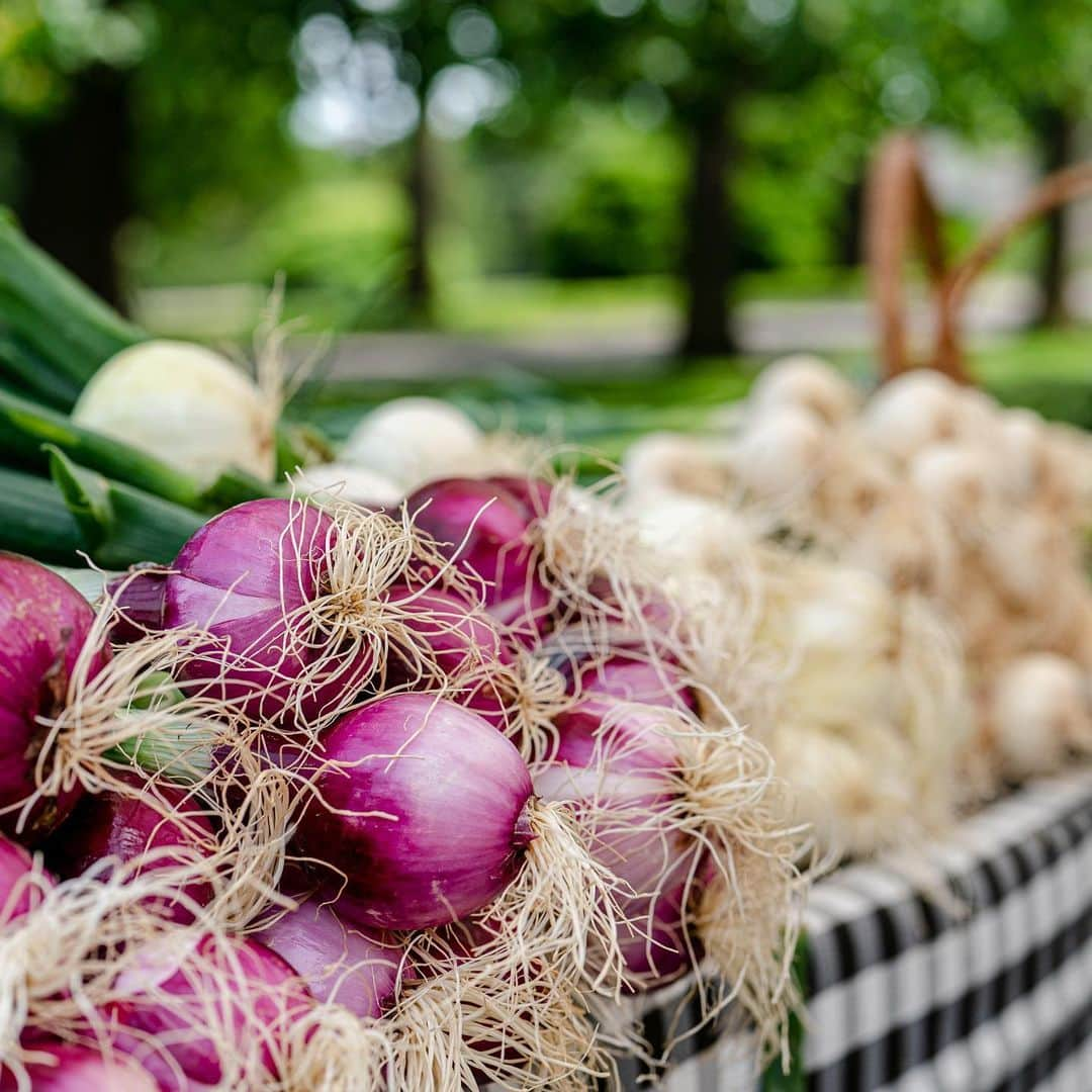 ニューヨーク植物園さんのインスタグラム写真 - (ニューヨーク植物園Instagram)「Our fan-favorite Farmers Market is back today with fresh-baked breads, local fruits and vegetables (look for the many varieties of culinary mushrooms!), artisanal prepared foods, and live music. Don’t forget to leave your haul at the cooler and head into our 50-acre old growth Forest for a relaxing forest bathing session at 1 p.m., all part of Wellness Wednesdays here at NYBG.」6月20日 0時08分 - nybg