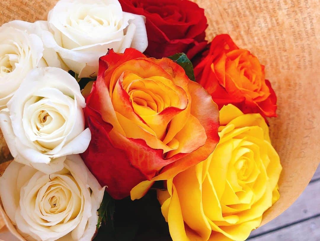 末吉里花さんのインスタグラム写真 - (末吉里花Instagram)「大好きなアフリカローズ🌹 @afrika_rose プレゼントを買いに行ったら、なんと代表の萩生田さんと田中さんお二人にお会いできました✨滅多にないチャンスなので記念撮影😊バラの力強い生命力からエネルギーをもらいパワーアップ💪次は六本木店にもお邪魔しなくては❣️My favorite rose, AFRIKA ROSE. Their roses are beautiful, fair and full of life! #afrikarose #rose #africa #fairtrade #ethical #gift #アフリカローズ #バラ #アフリカ #フェアトレード #エシカル #アフリカローズで働くスタッフも美しい #プレゼントにエシカルなものを選ぼう」6月20日 0時19分 - rikasueyoshi