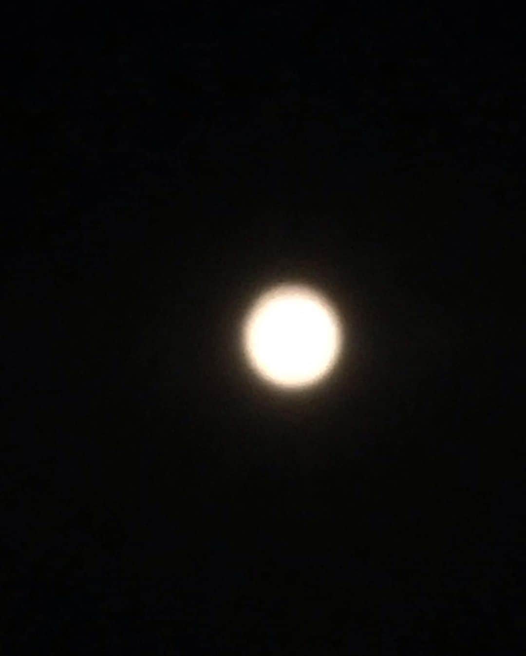 谷桃子さんのインスタグラム写真 - (谷桃子Instagram)「ここ数日、月がきれい✨☘️ でもケータイのカメラで撮るのはやっぱり難しいですね☺️✨🌸 #月 #moon」6月20日 0時24分 - momoko5999