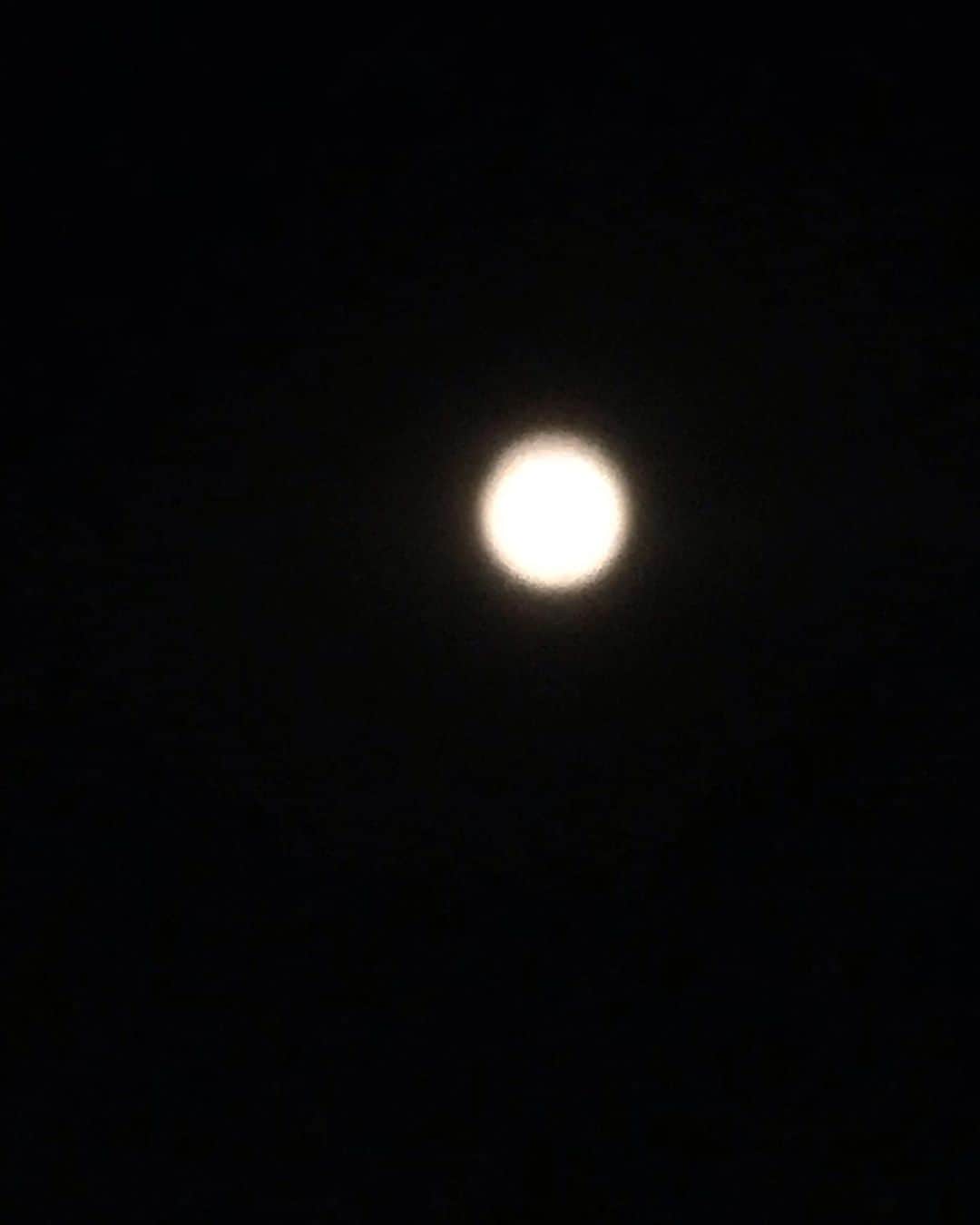 谷桃子さんのインスタグラム写真 - (谷桃子Instagram)「ここ数日、月がきれい✨☘️ でもケータイのカメラで撮るのはやっぱり難しいですね☺️✨🌸 #月 #moon」6月20日 0時24分 - momoko5999