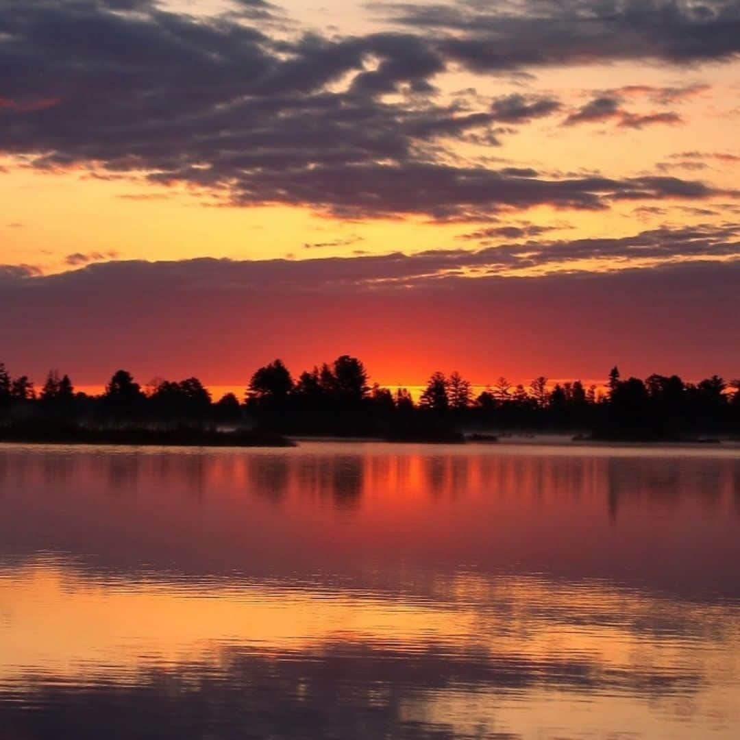 アメリカ内務省さんのインスタグラム写真 - (アメリカ内務省Instagram)「Matching water and sky, the sunrise at Seney National Wildlife Refuge in the Upper Peninsula of #Michigan welcomes the new day in style. Photographer Teresa McGill took an early morning hike and was delighted by the fiery sky and the calm reflecting waters. #Summer moments at Seney #NationalWildlifeRefuge present chances to see many types of turtle, loons, osprey fishing in ponds, waterfowl defending their territory, otters playing or dam-building beavers. If you want to see #wildlife, especially birds, this is the place. Photo courtesy of Teresa L. McGill. #usinterior #travel #publiclands」6月20日 0時25分 - usinterior